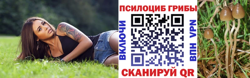 хочу наркоту  Махачкала  Псилоцибиновые грибы прущие грибы 